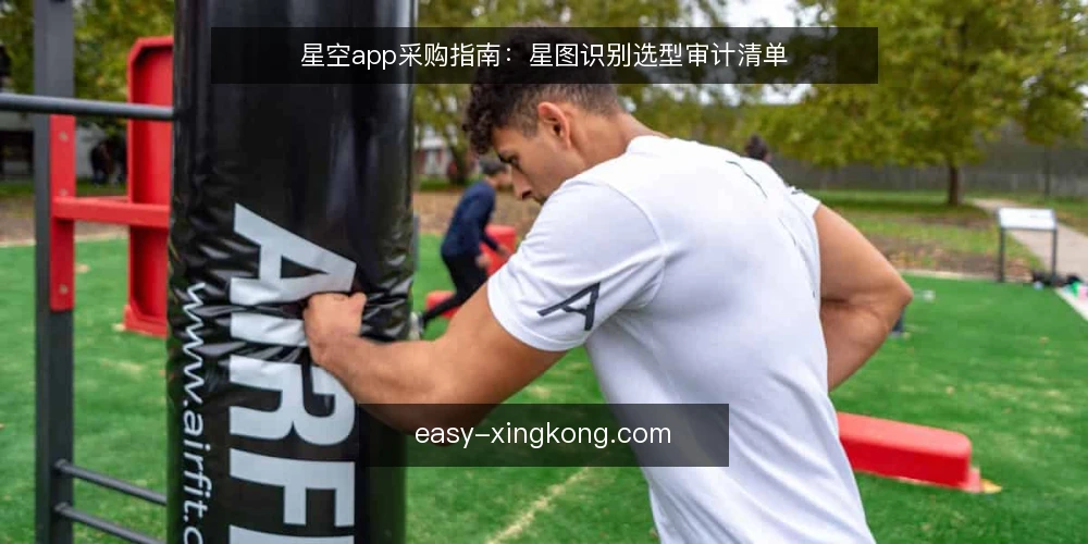 星空app采购指南：星图识别选型审计清单 — 为什么要现在审计星空app 配图