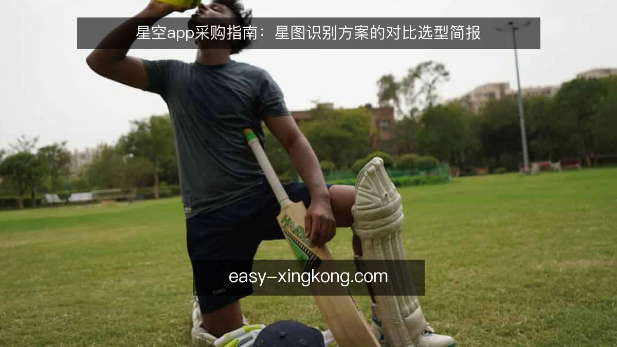 星空app采购指南：星图识别方案的对比选型简报
