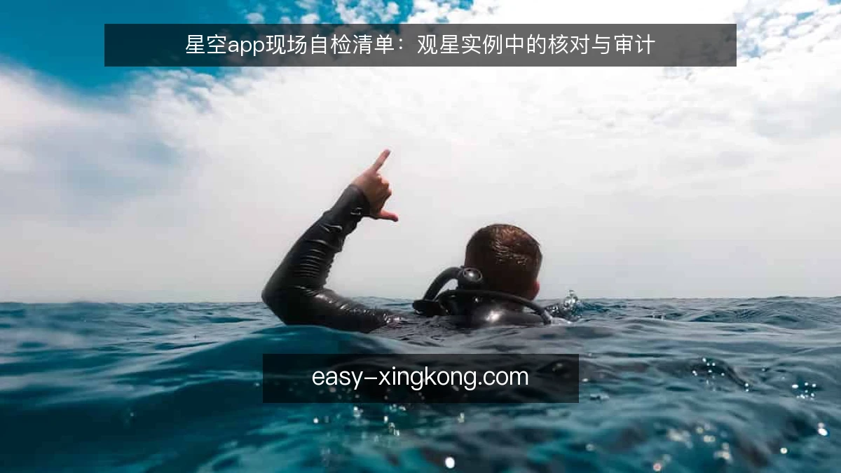 星空app现场自检清单：观星实例中的核对与审计